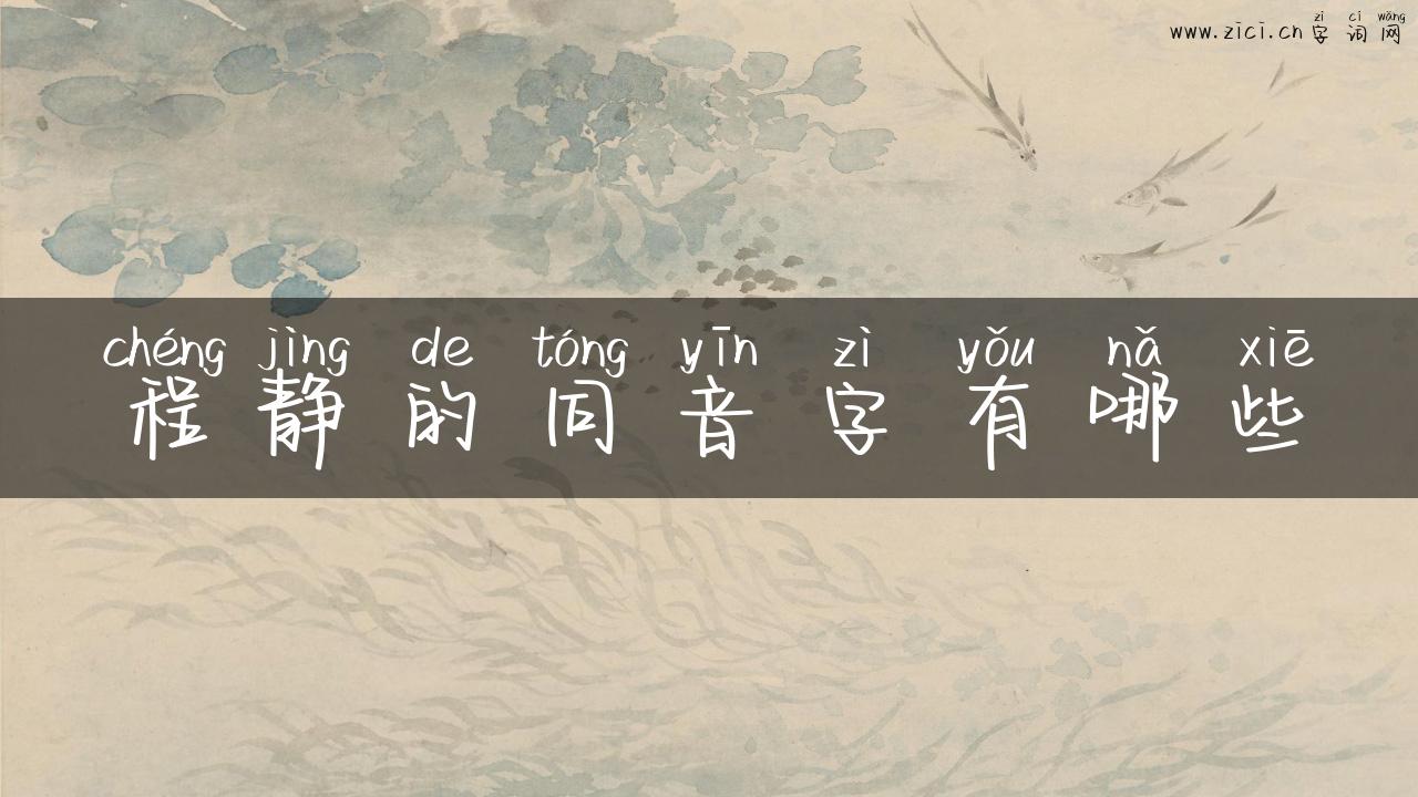 程静的同音字有哪些