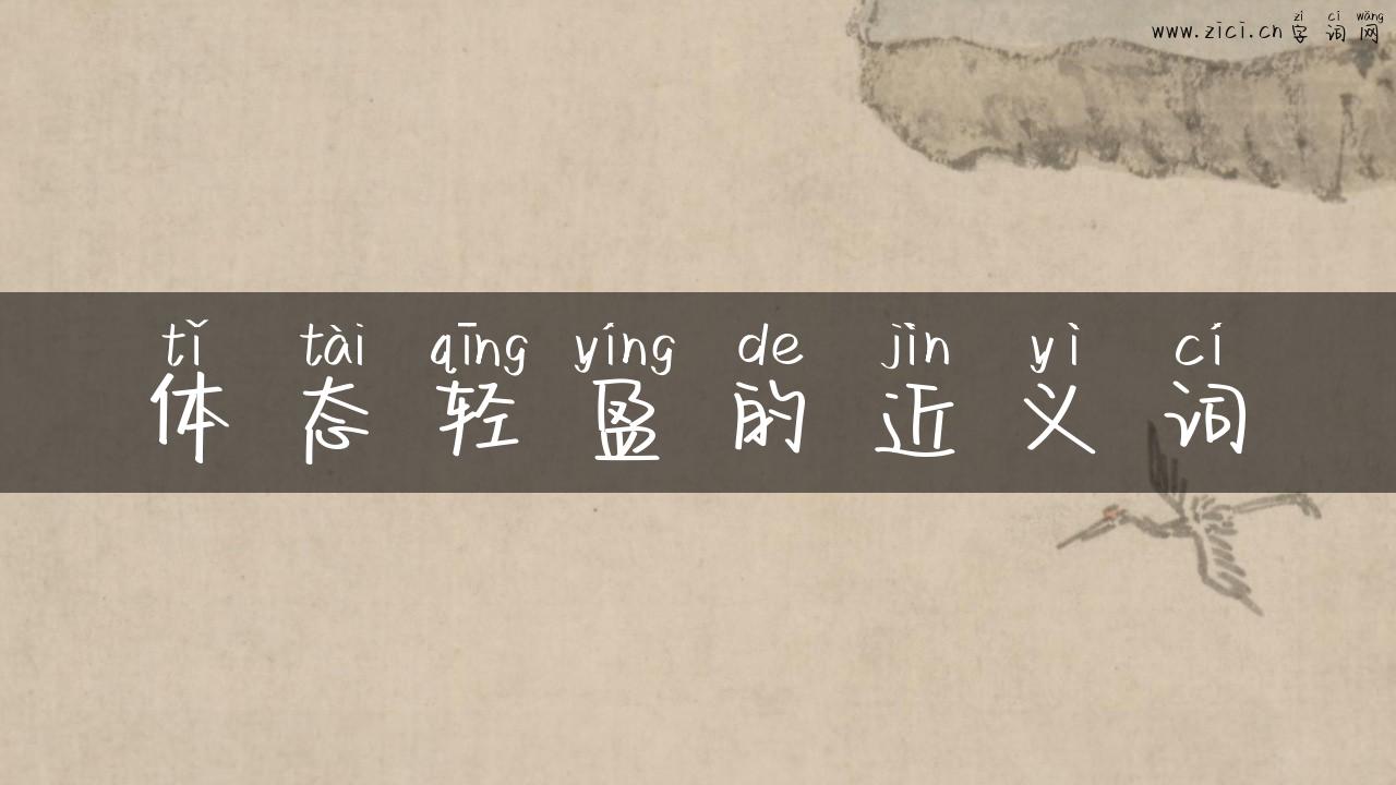 体态轻盈的近义词