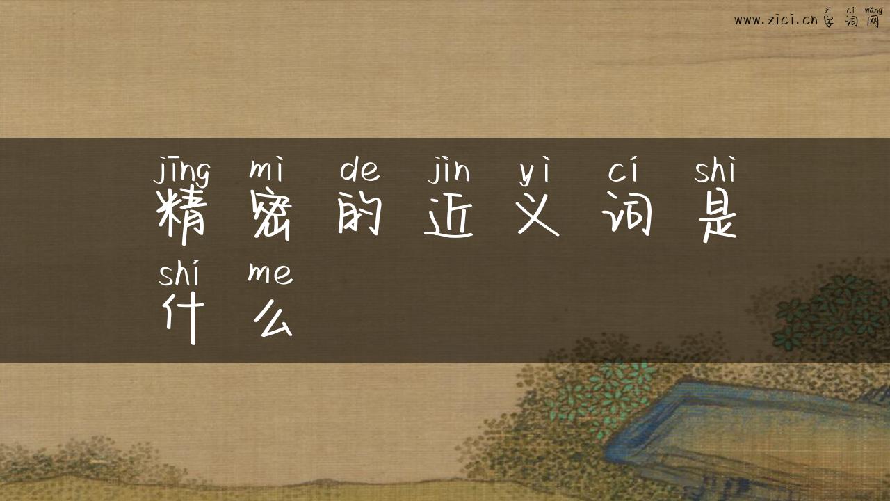 精密的近义词是什么