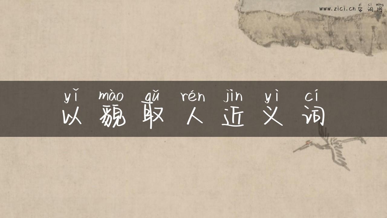 以貌取人近义词