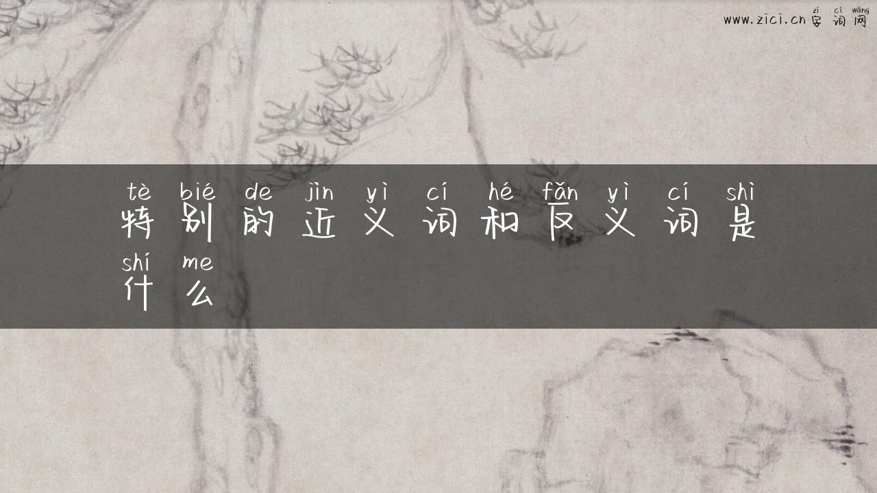 特别的近义词和反义词是什么