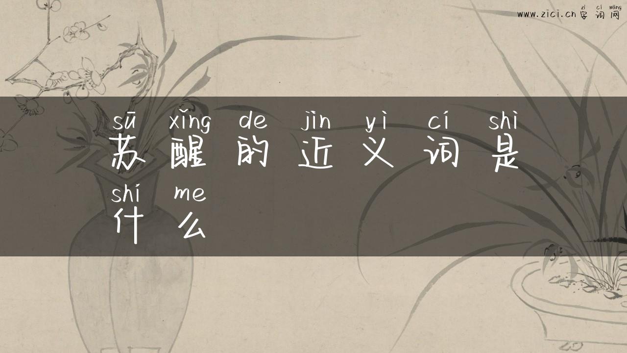 苏醒的近义词是什么