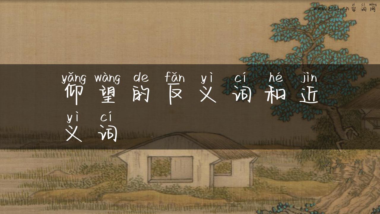 仰望的反义词和近义词
