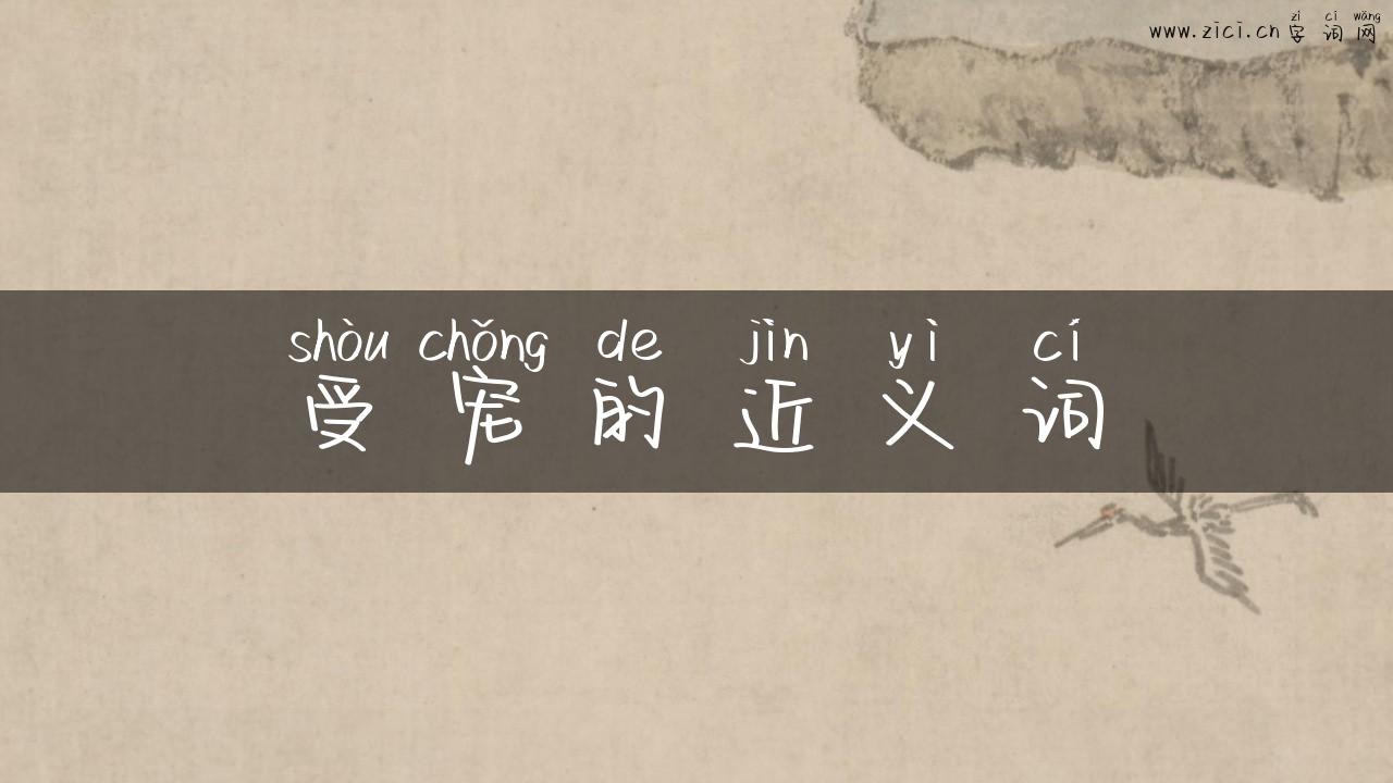 受宠的近义词