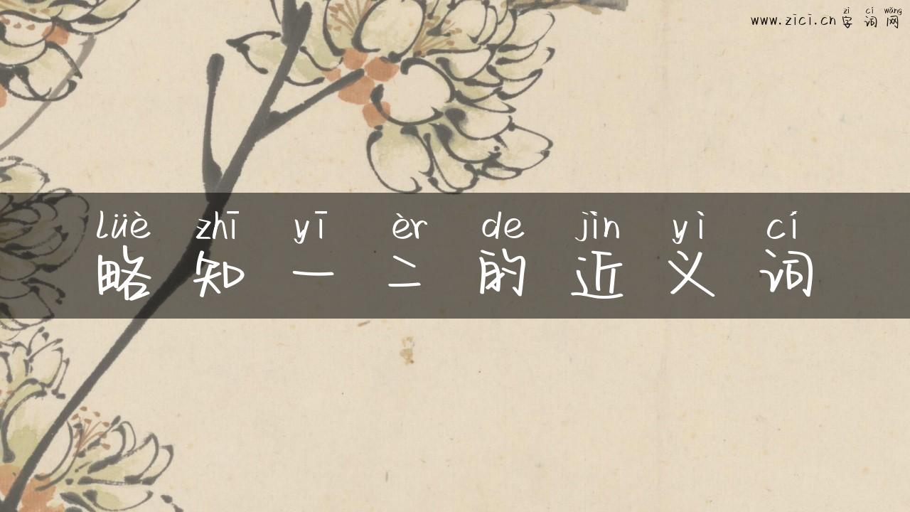 略知一二的近义词