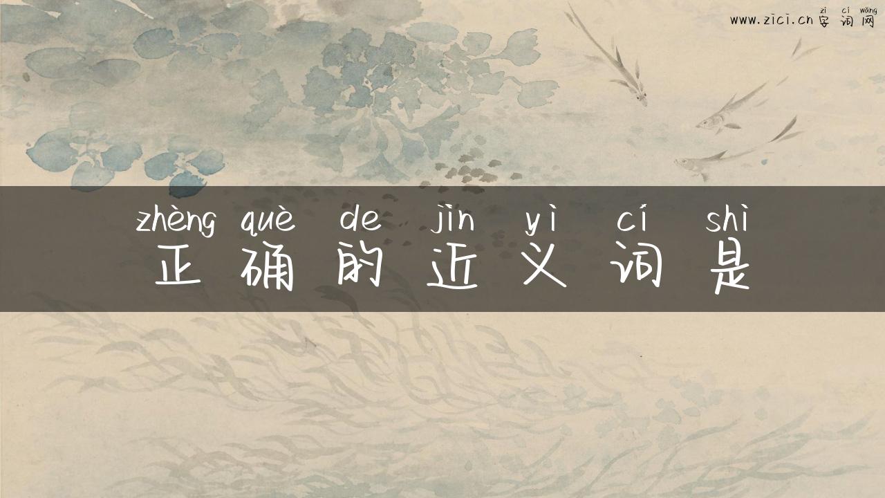 正确的近义词是