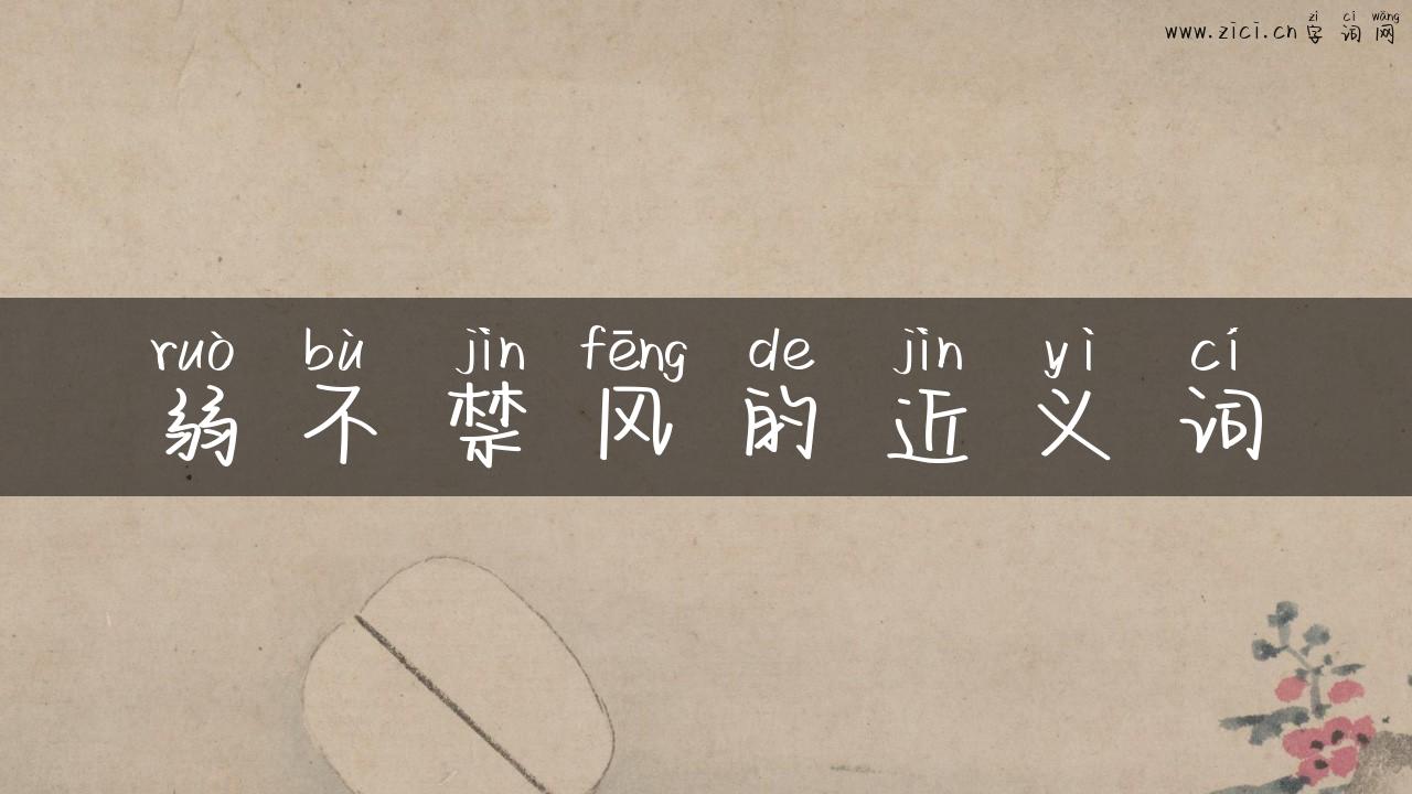弱不禁风的近义词
