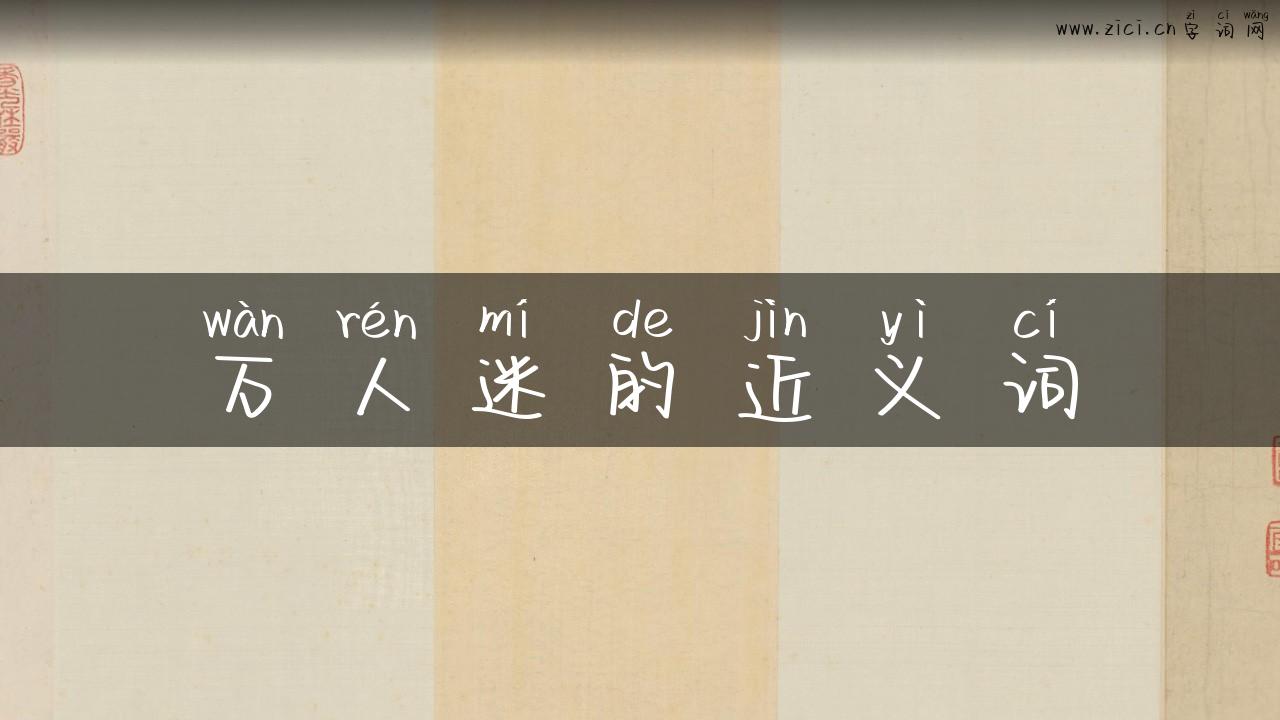 万人迷的近义词