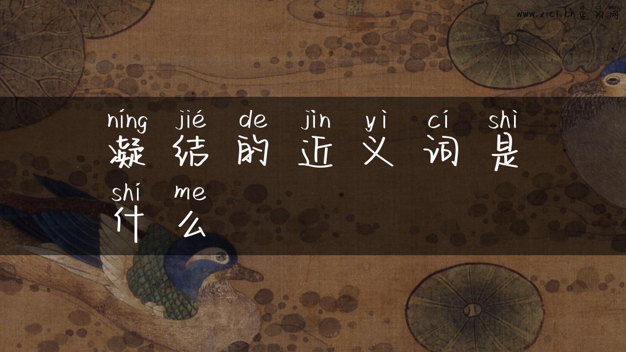 凝结的近义词是什么