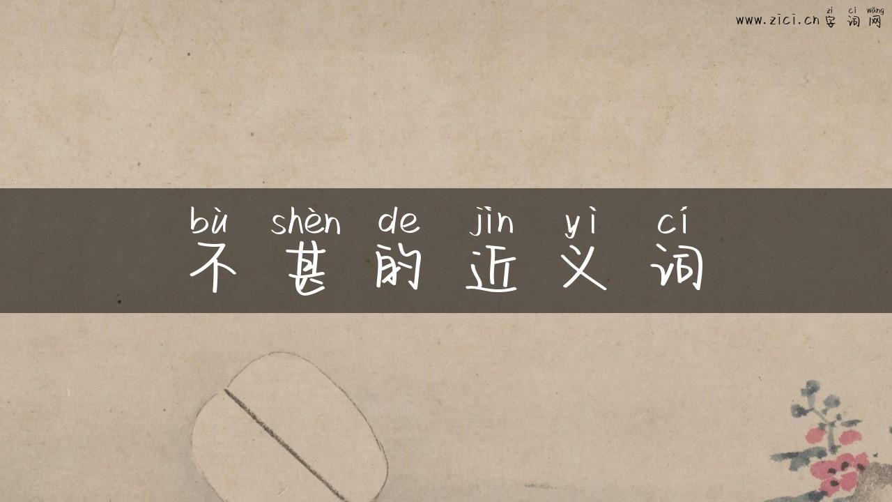 不甚的近义词