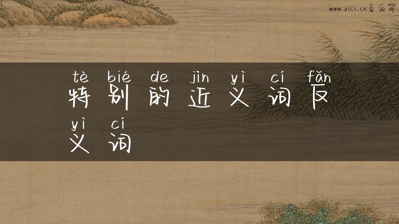 特别的近义词反义词