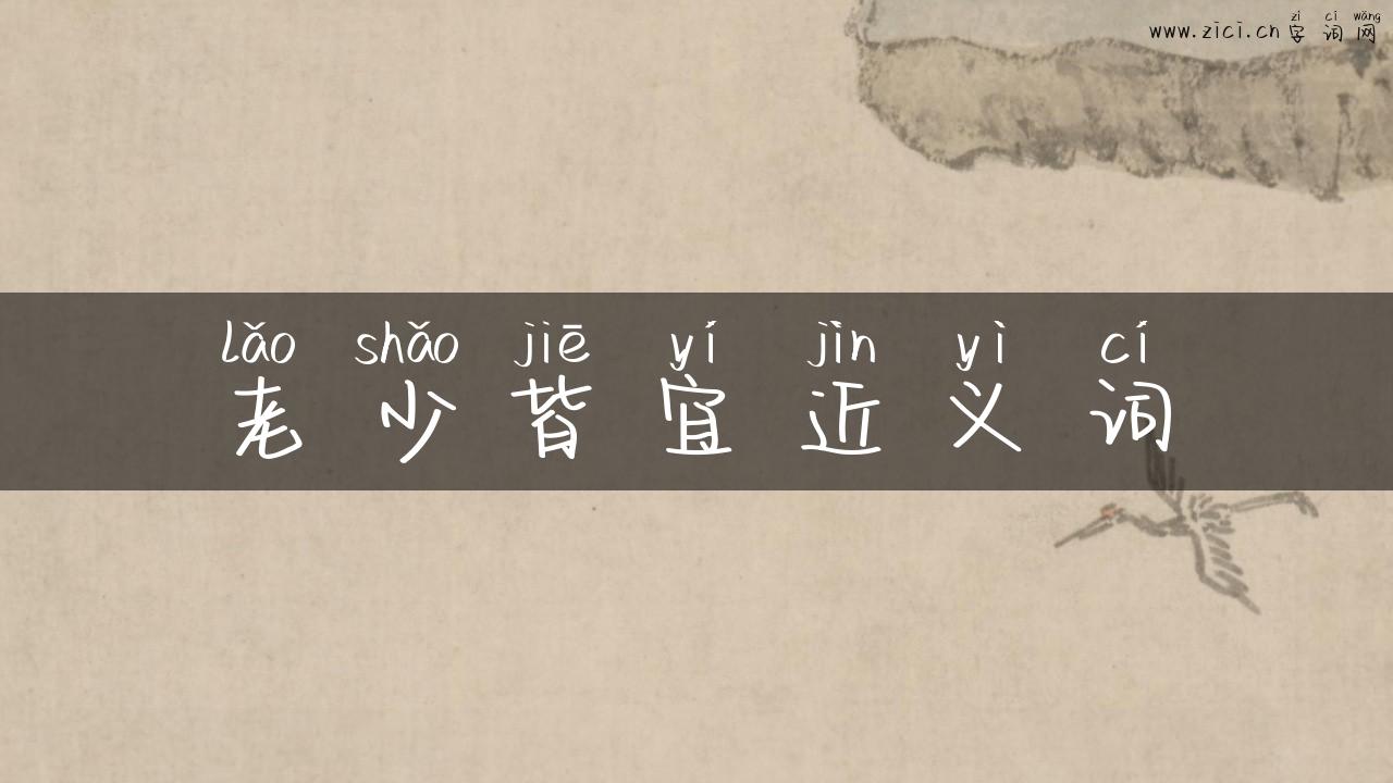 老少皆宜近义词