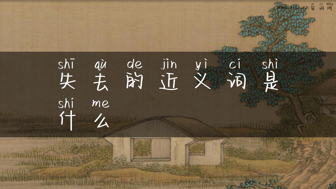 失去的近义词是什么
