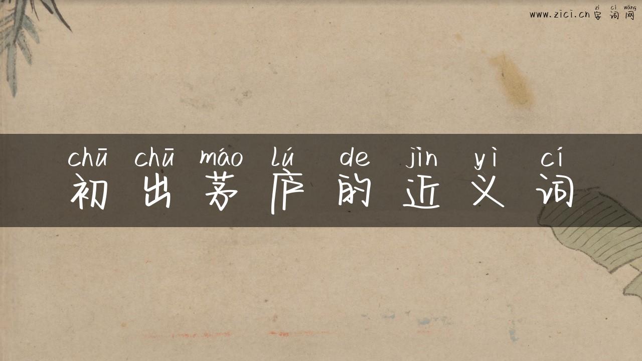 初出茅庐的近义词