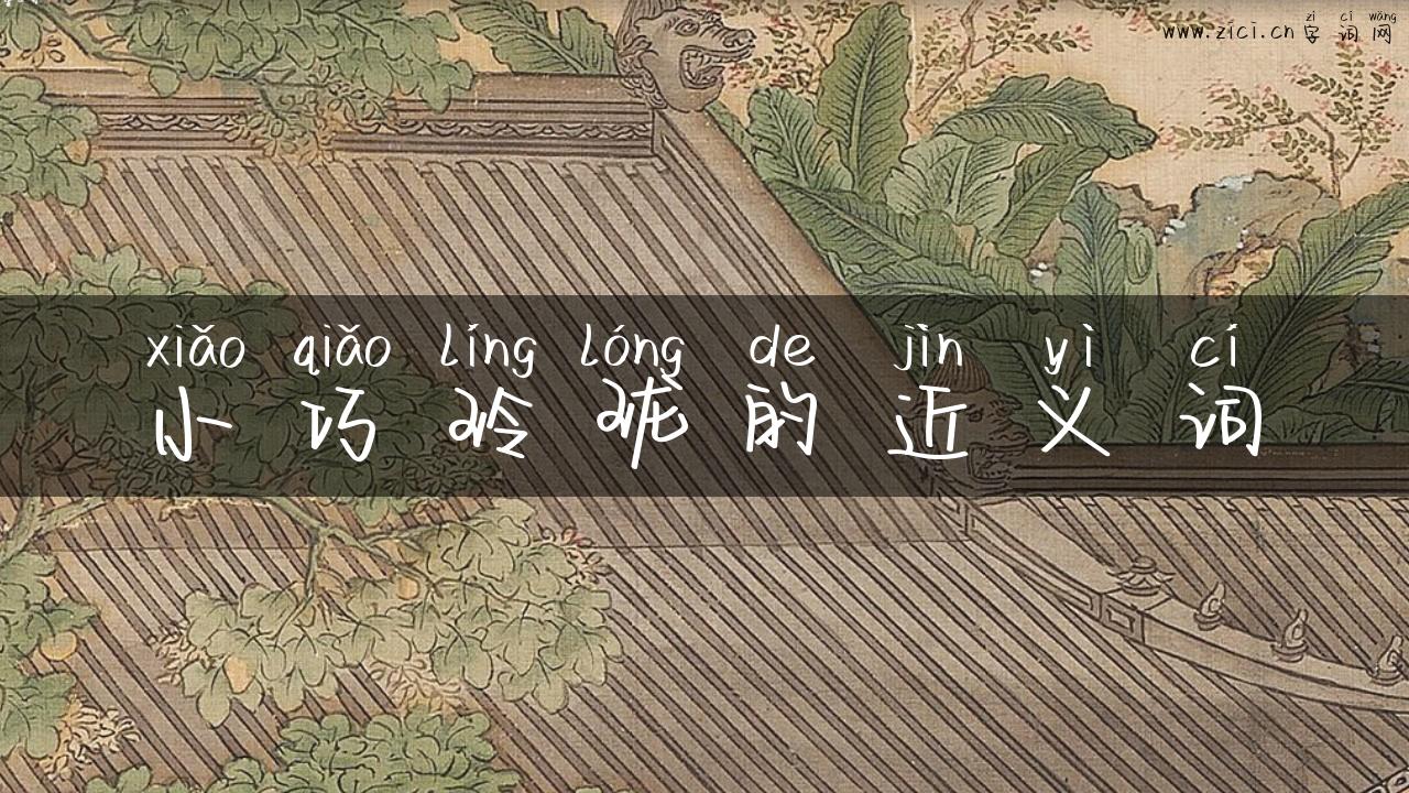 小巧玲珑的近义词