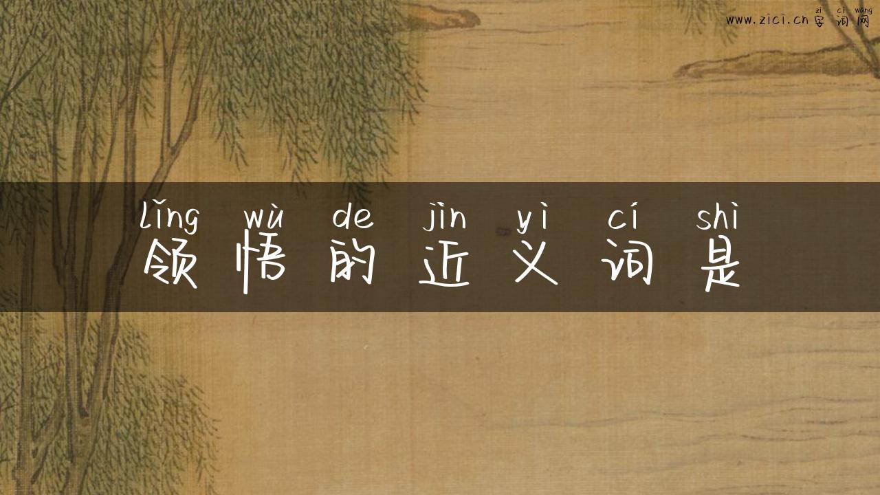 领悟的近义词是