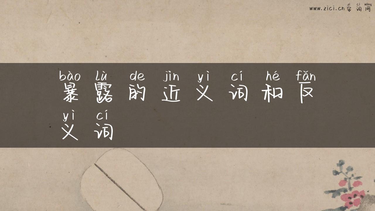 暴露的近义词和反义词