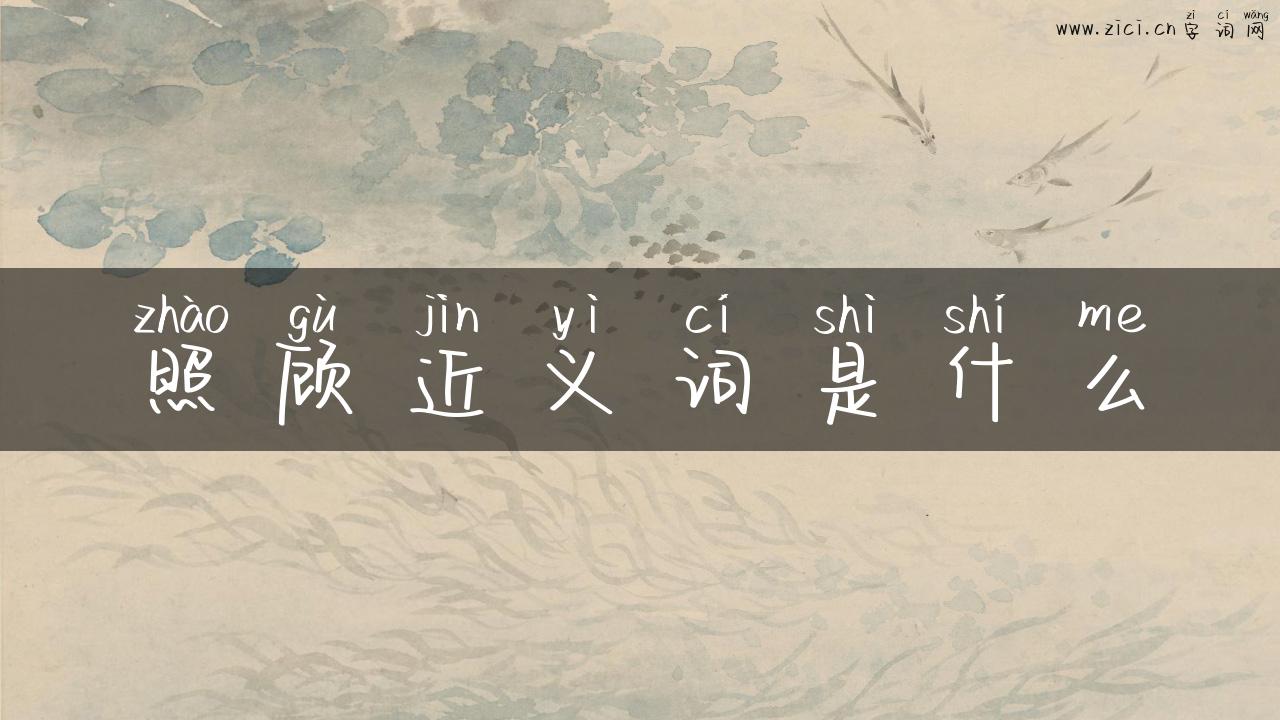 照顾近义词是什么
