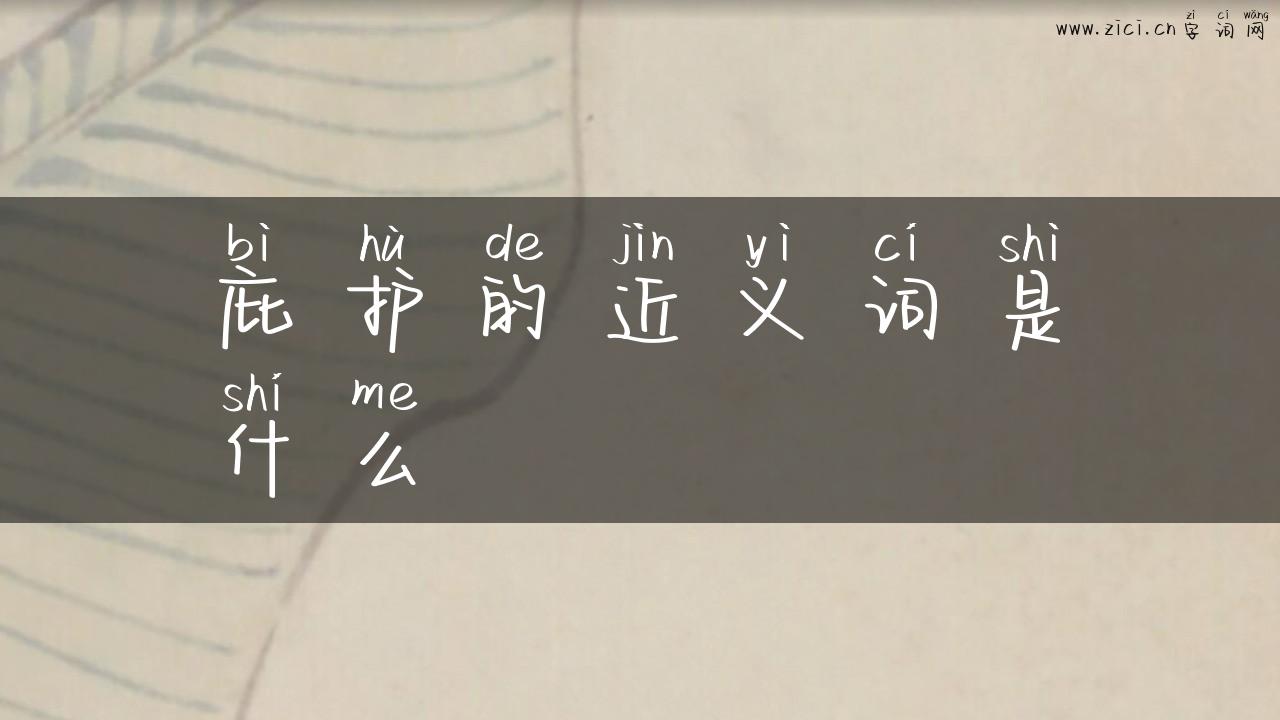 庇护的近义词是什么