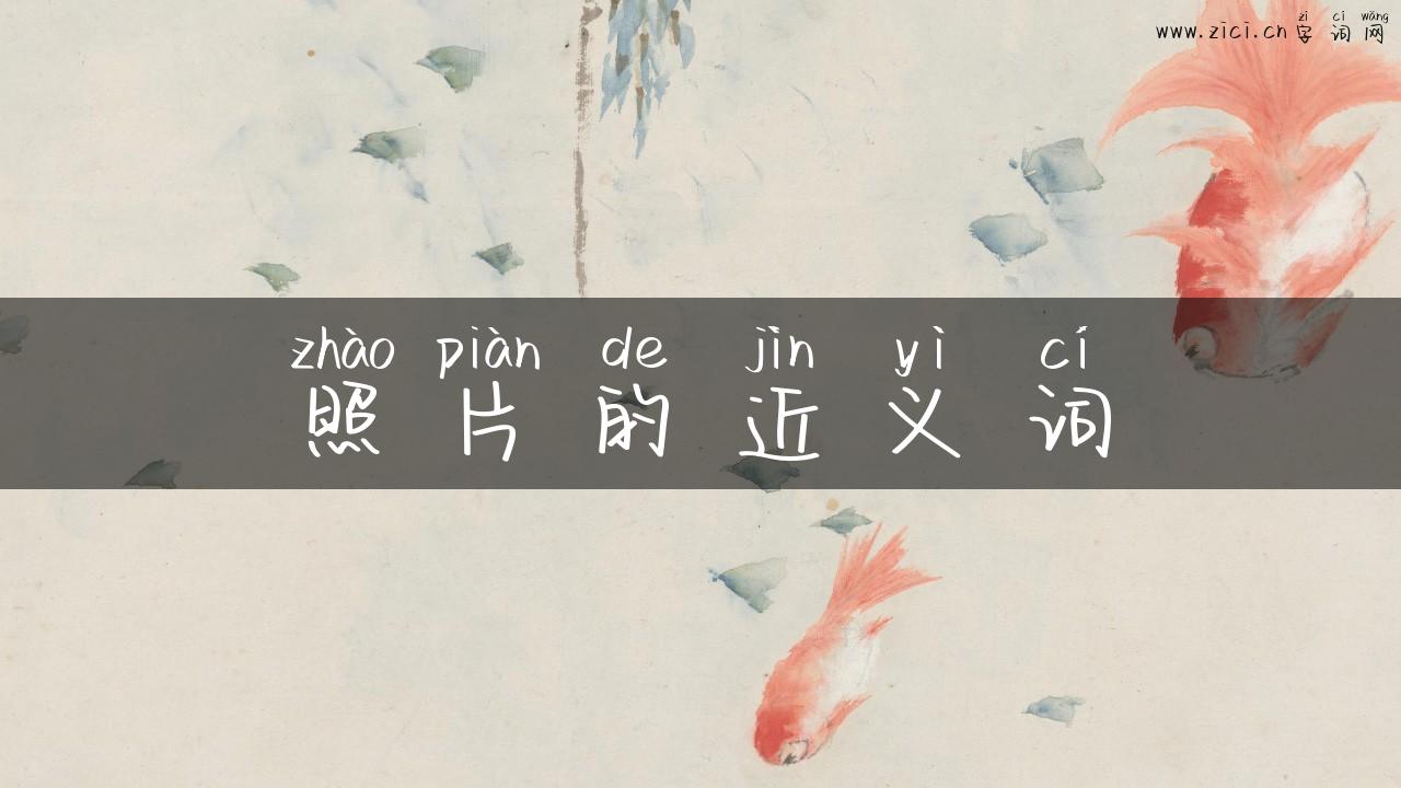 照片的近义词
