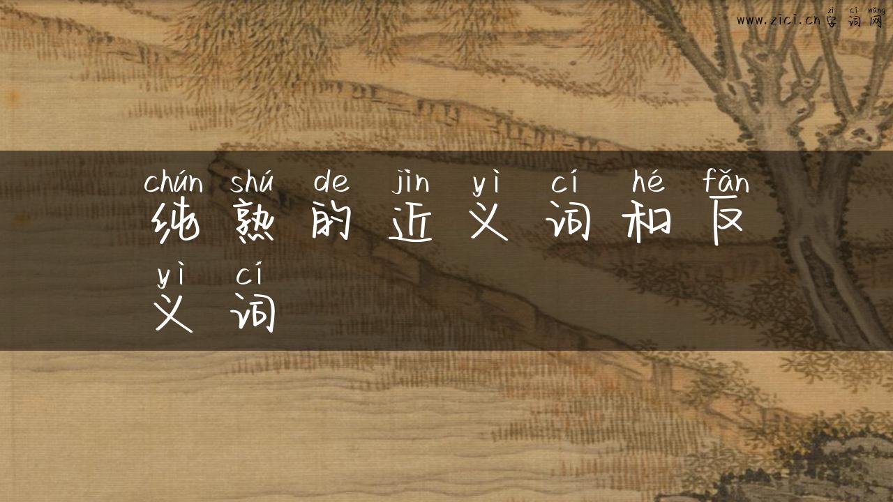 纯熟的近义词和反义词