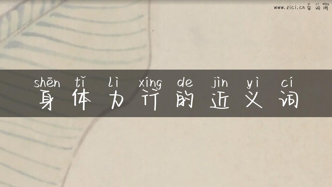 身体力行的近义词