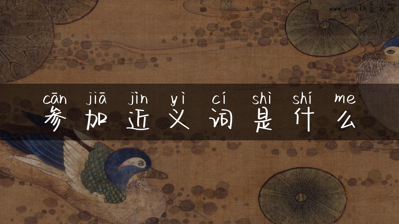 参加近义词是什么