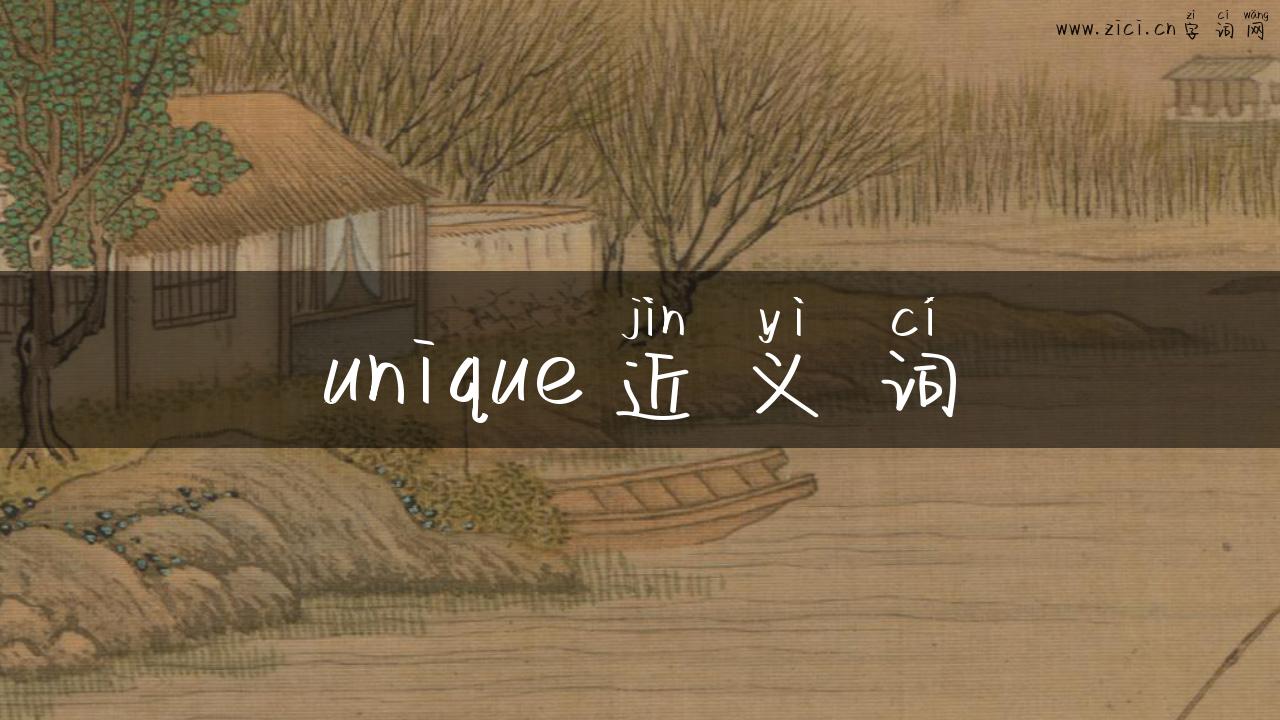 unique近义词