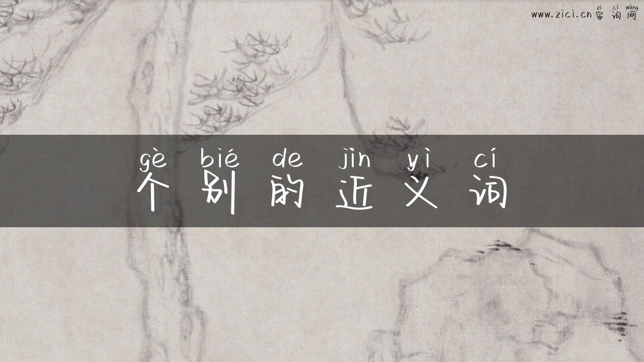 个别的近义词