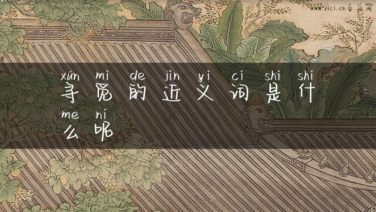 寻觅的近义词是什么呢