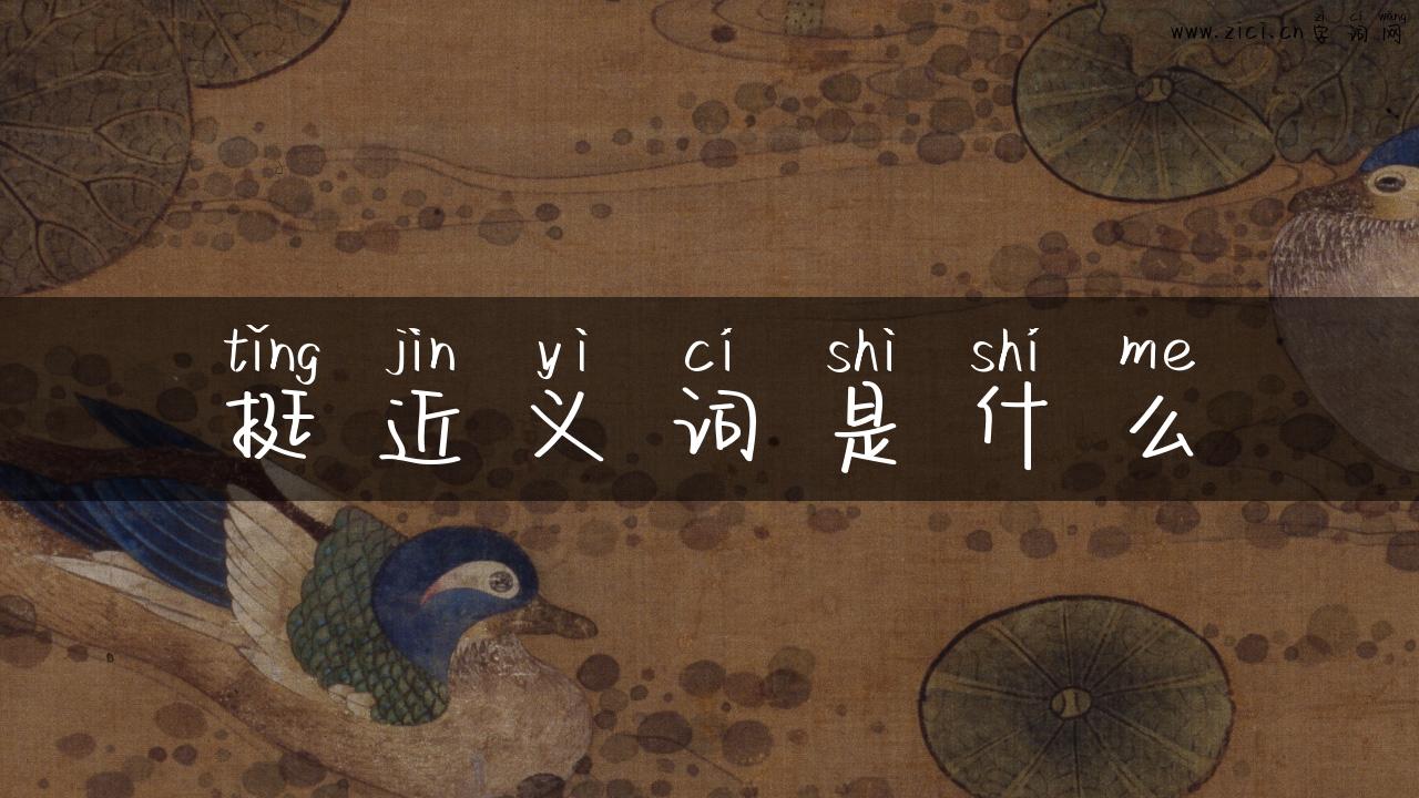 挺近义词是什么