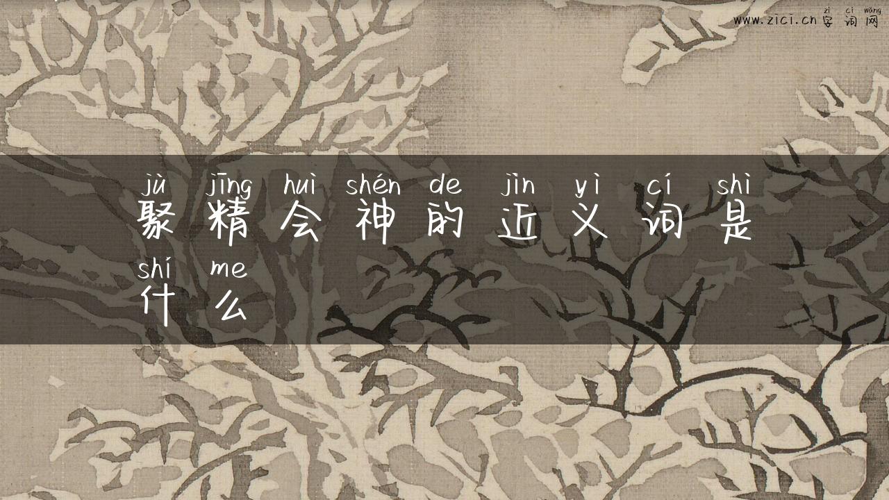 聚精会神的近义词是什么