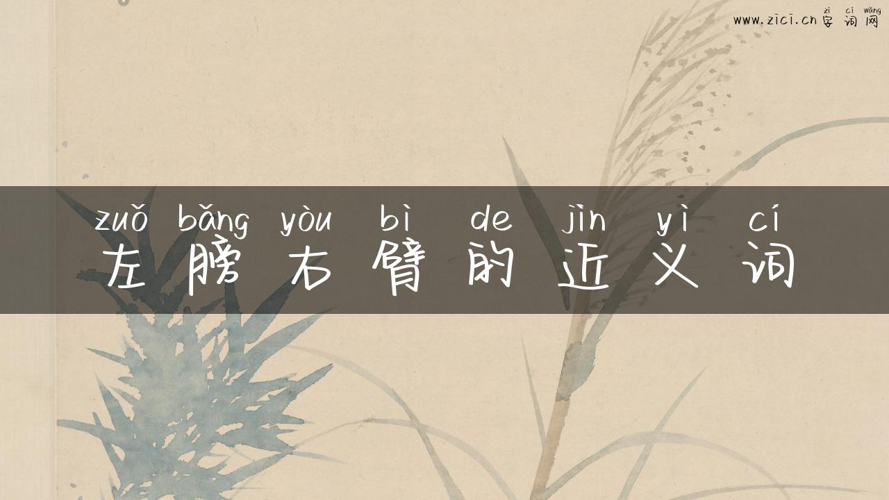 左膀右臂的近义词