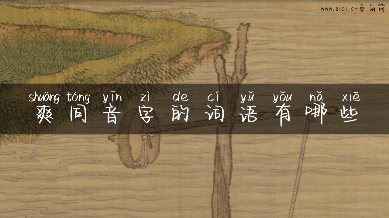 爽同音字的词语有哪些