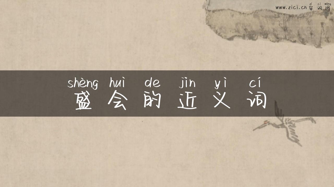 盛会的近义词