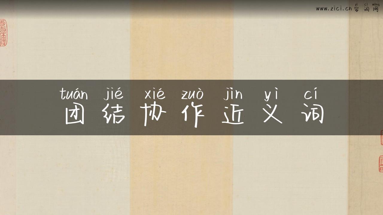 团结协作近义词