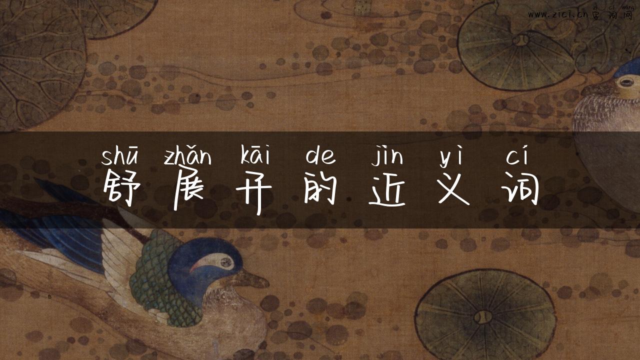 舒展开的近义词