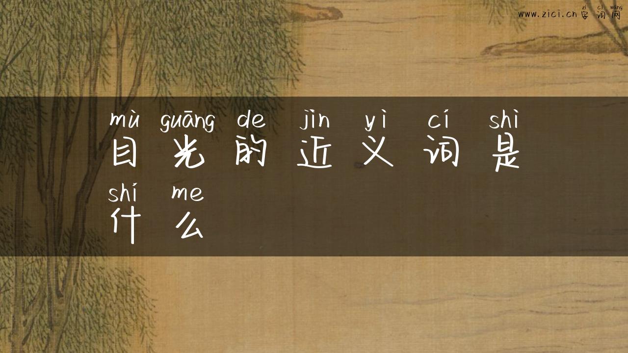 目光的近义词是什么