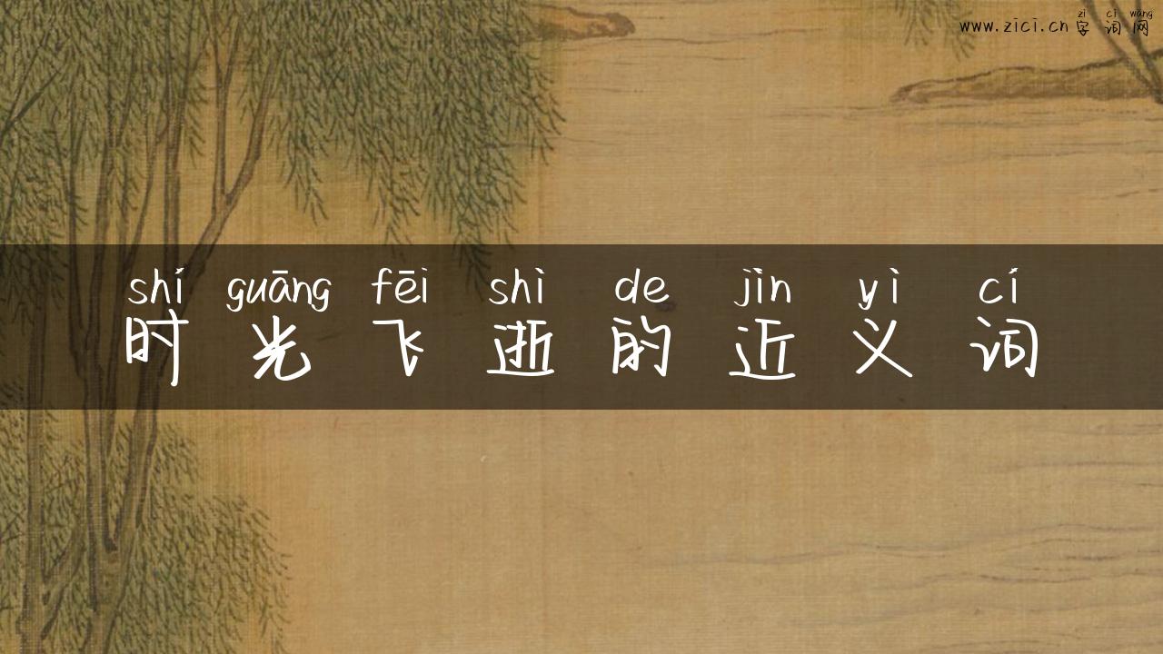 时光飞逝的近义词