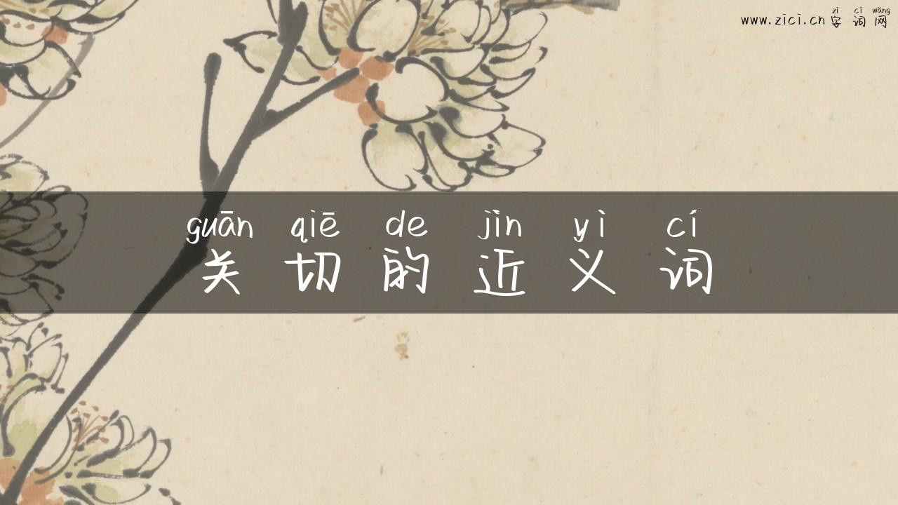 关切的近义词