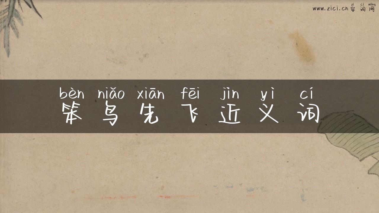 笨鸟先飞近义词