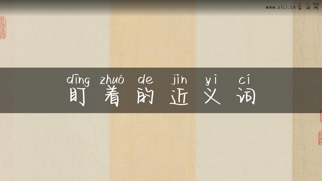 盯着的近义词