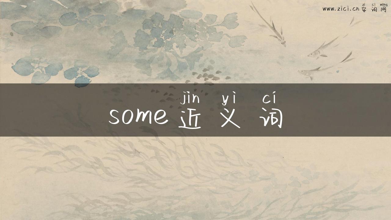 some近义词