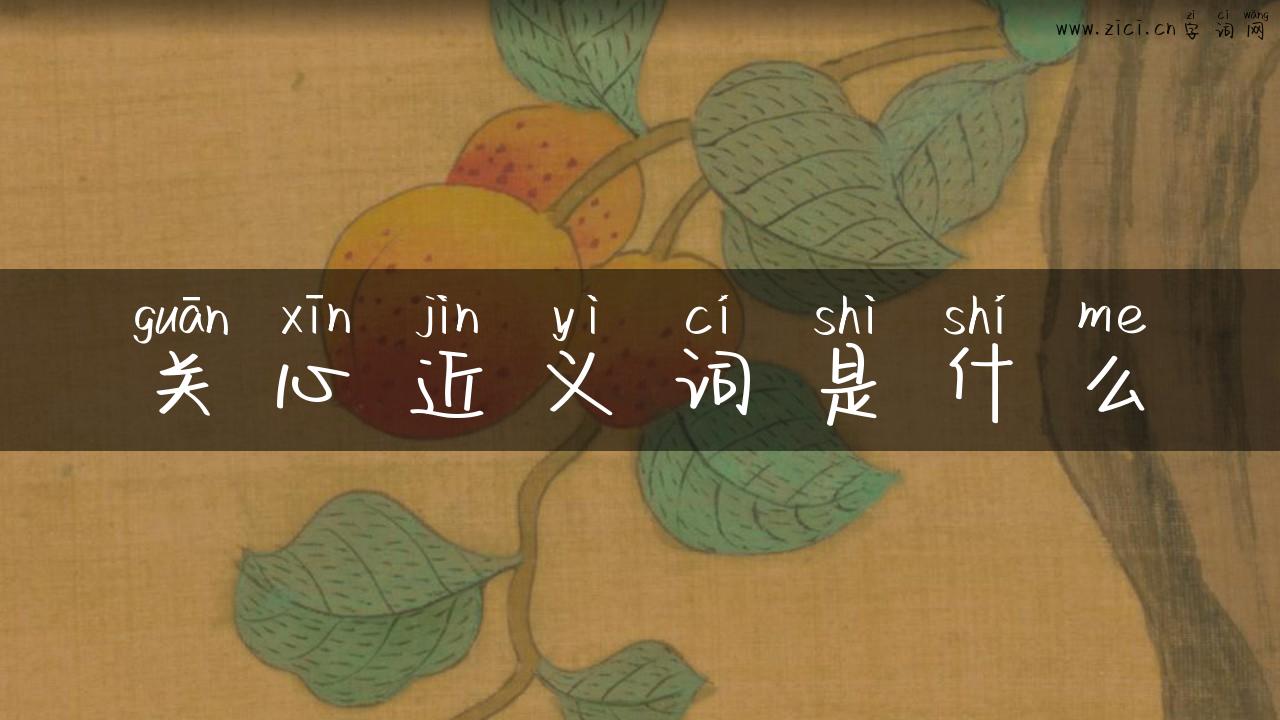 关心近义词是什么