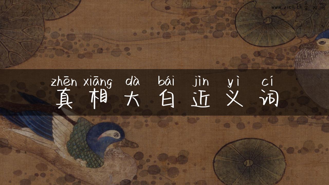 真相大白近义词