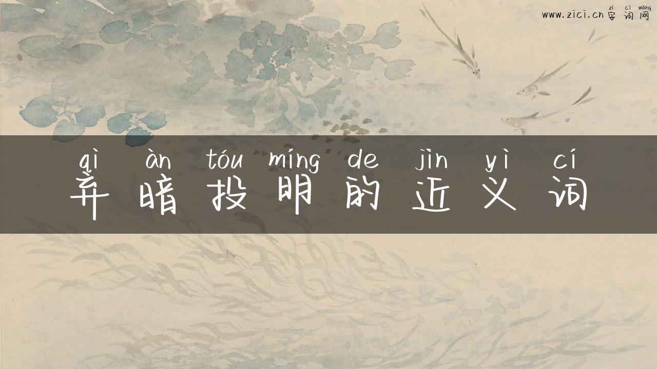 弃暗投明的近义词