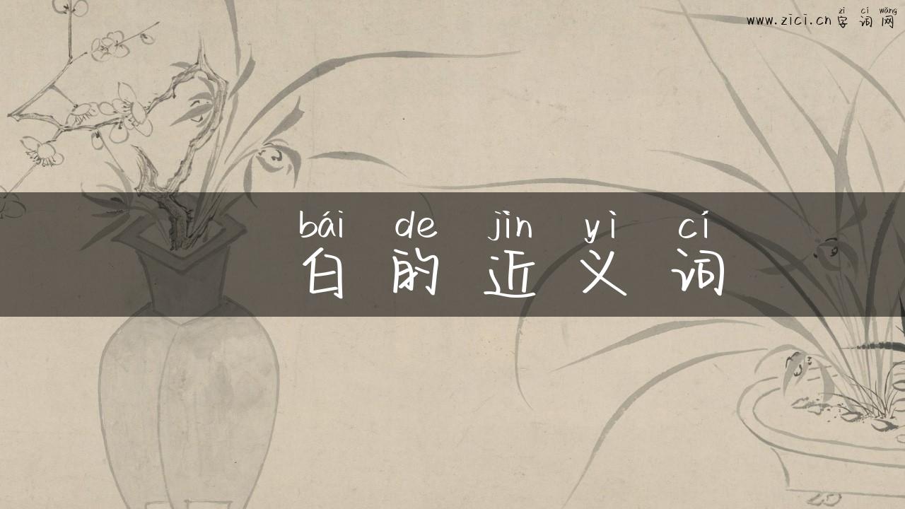 眀白的近义词