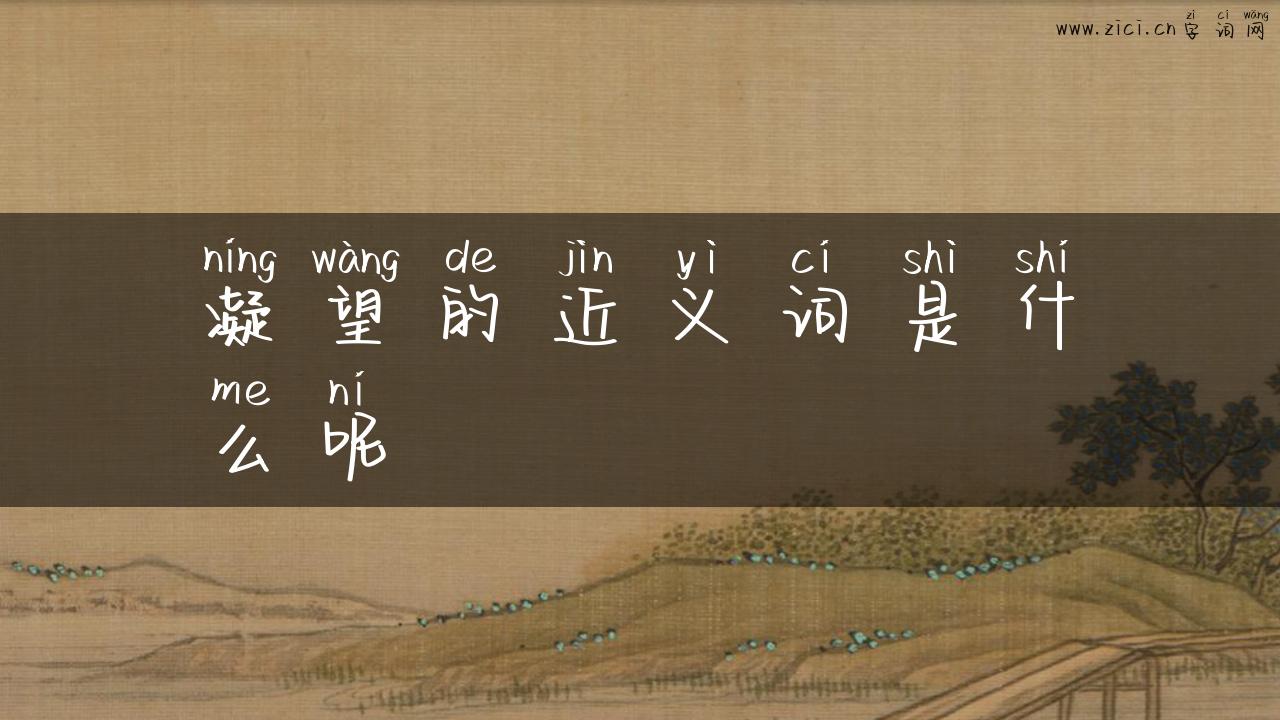 凝望的近义词是什么呢