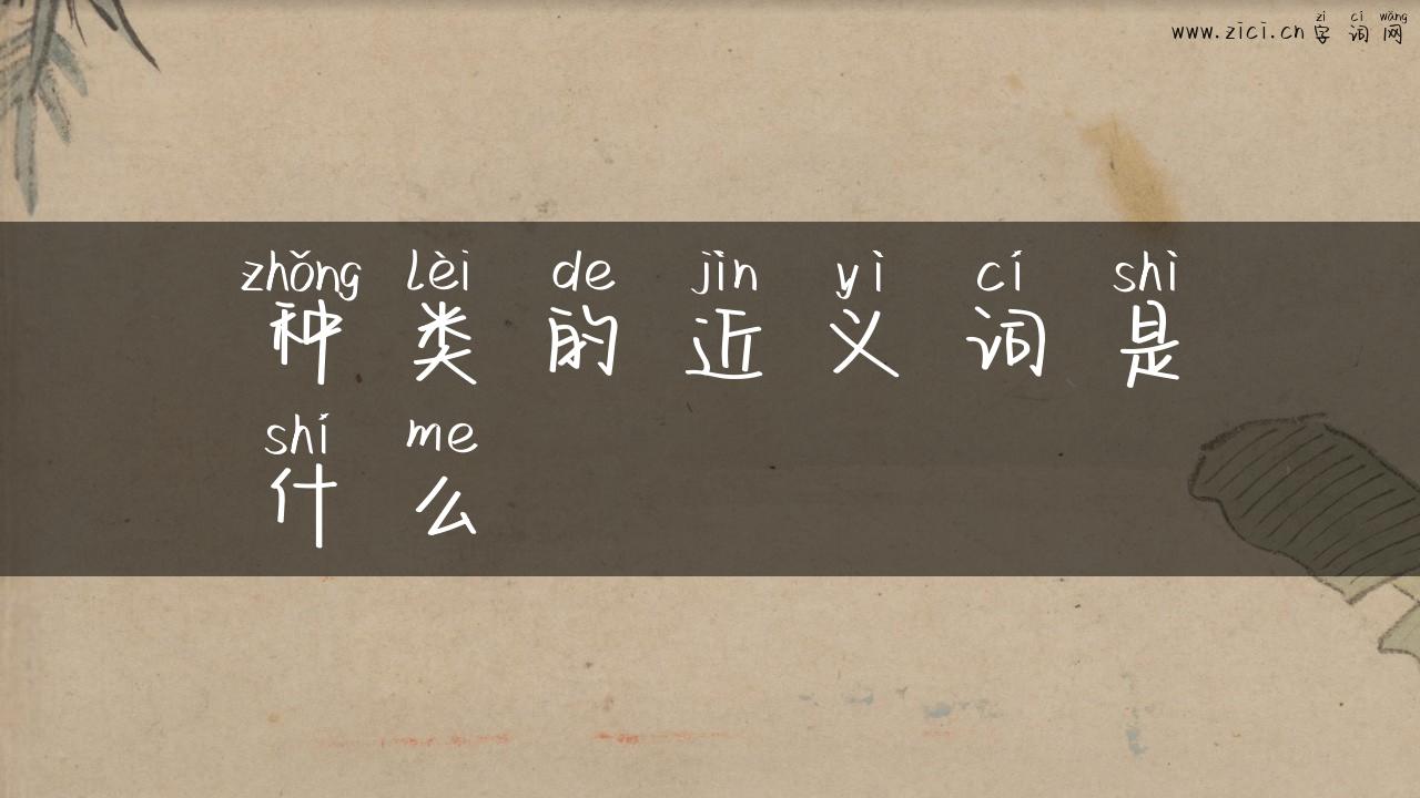 种类的近义词是什么