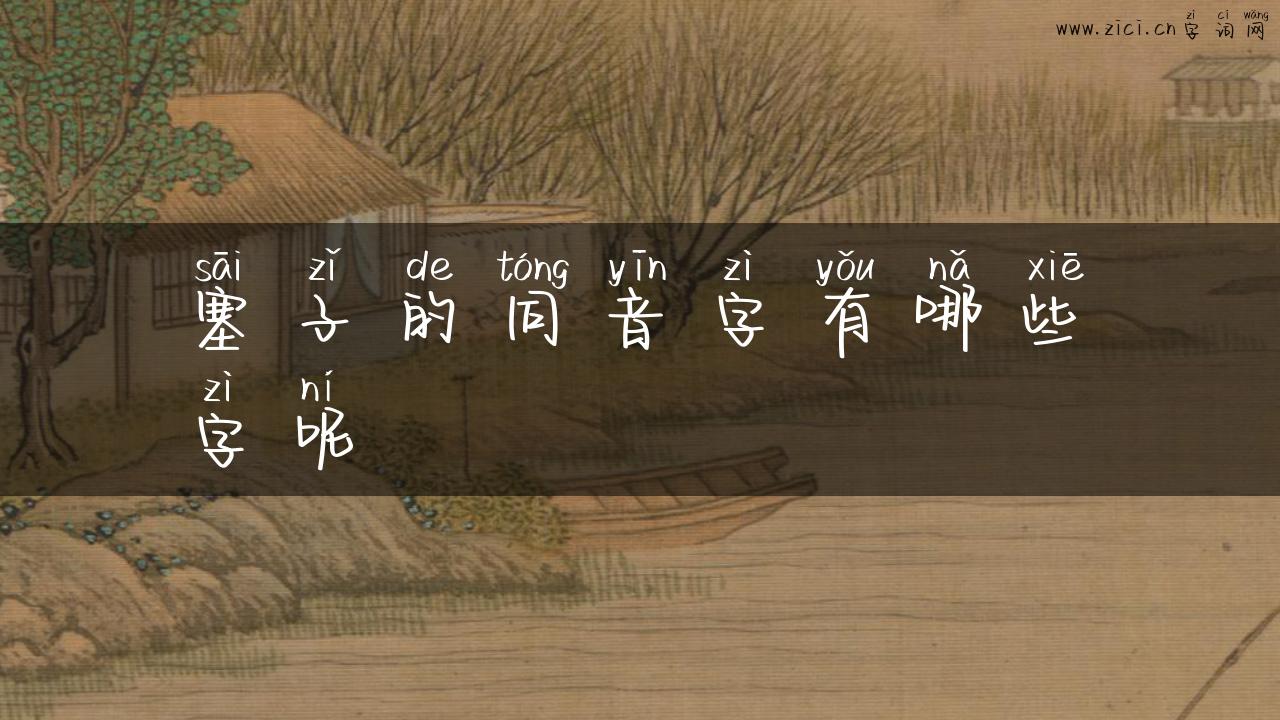 塞子的同音字有哪些字呢